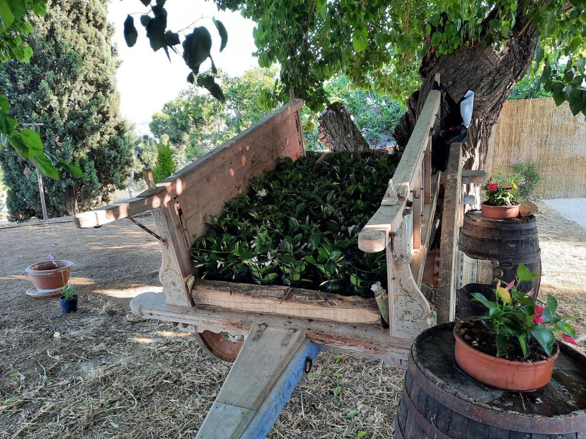 Tenuta Coppa Zuccari Città Sant'Angelo Eksteriør billede
