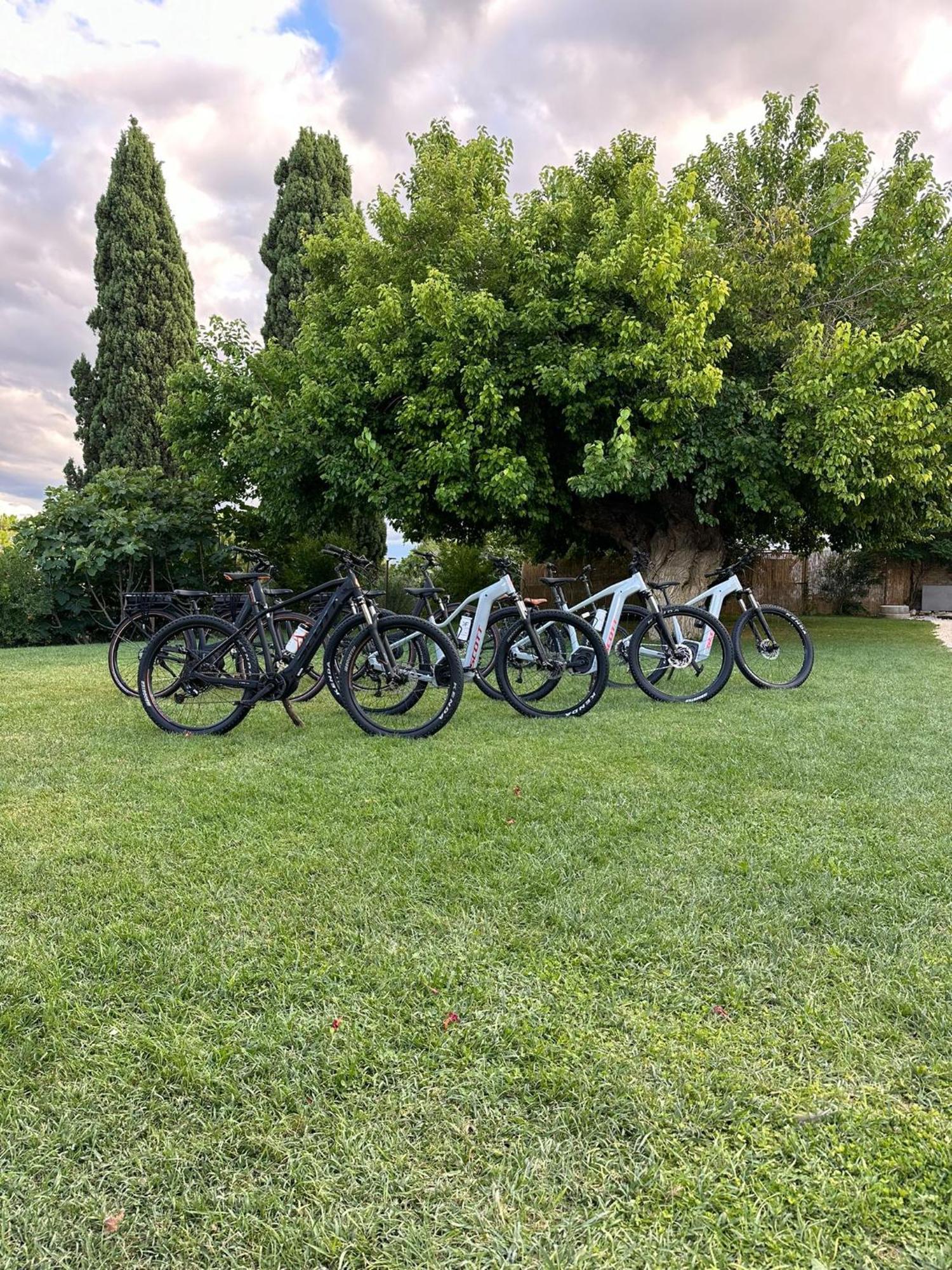 Tenuta Coppa Zuccari Città Sant'Angelo Eksteriør billede