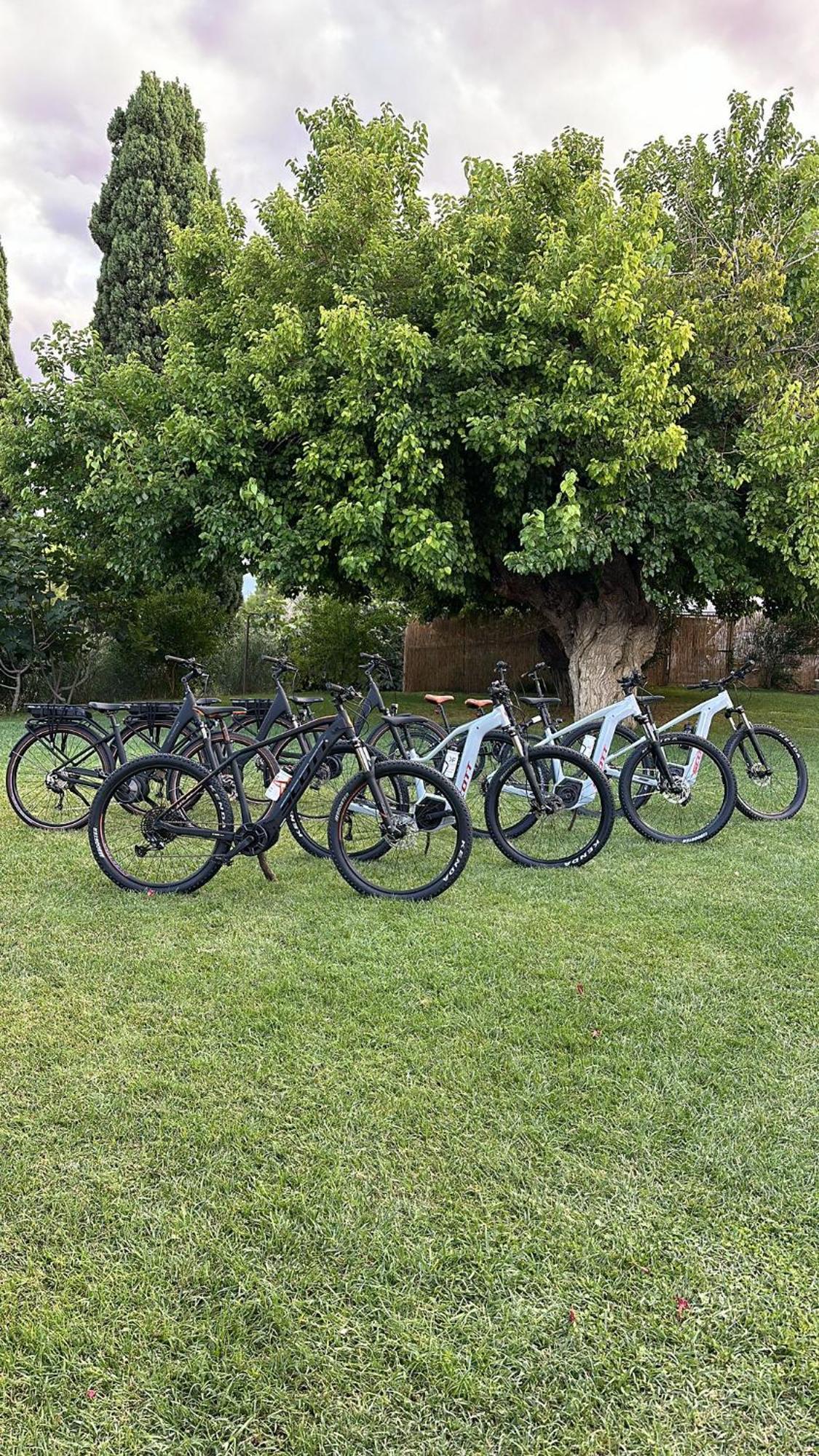 Tenuta Coppa Zuccari Città Sant'Angelo Eksteriør billede